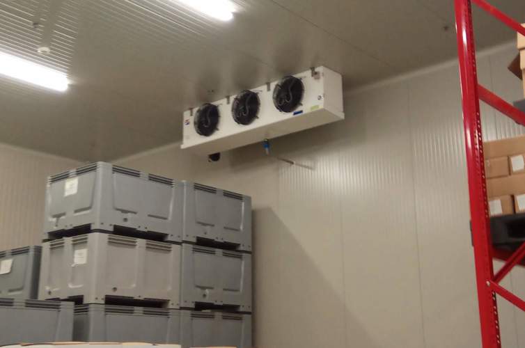 JPEG 07 27 2020 11 28 43