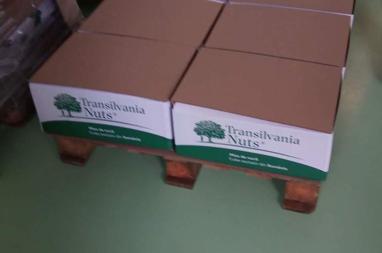 JPEG 07 27 2020 11 26 12