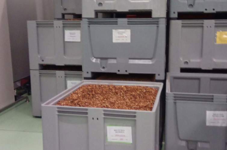 JPEG 07 27 2020 11 19 13